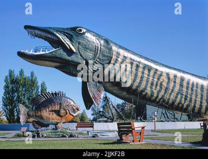 John Margolies - Giant pike side view 2, Fishing Hall of Fame, Hayward, Wisconsin, Hayward, Wisconsin, USA Stock Photo