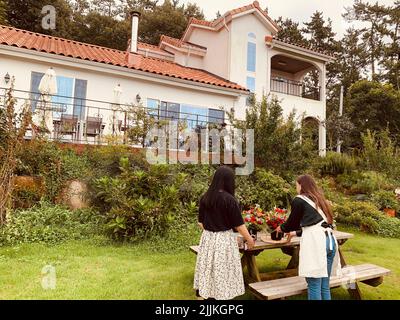 Two young females putting plants on a wooden table outdoors in a garden near the house Stock Photo