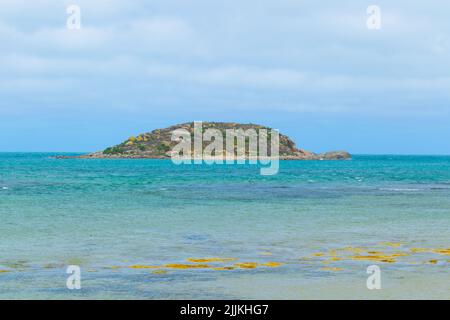 Wright Island on Encounter Bay at Victor Harbor in South Australia. Stock Photo