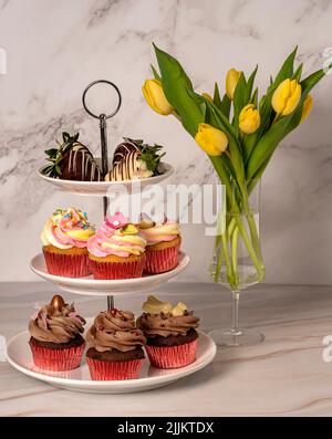 Food photography of cupcakes, muffins, tulips Stock Photo