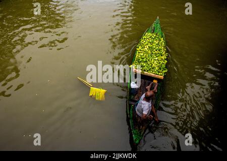 A seller arriving at Bhimruli Floating Market with Guavas on the boats for selling in wholesale market Stock Photo