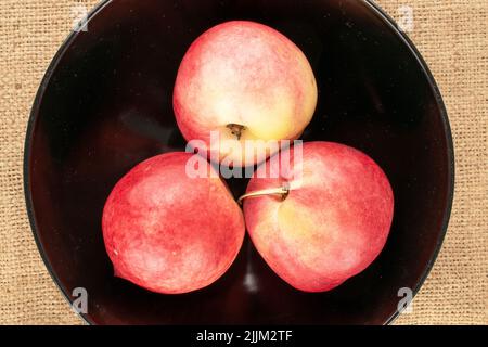 Three sweet nectarines in a black ceramic dish on jute fabric, macro, top view. Stock Photo