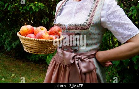 a woman in a beautiful traditional dirndl dress holding a basket with gorgeous big red apples at the Bavarian October fest (Oktoberfest) (Munich, Bava Stock Photo