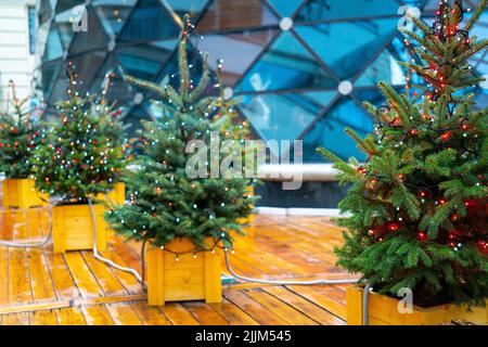 The small Christmas trees with electric garland of light bulbs in small wooden boxes on a wooden floor Stock Photo
