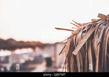 the close-up shot of a  thatch sticks  on a beach Stock Photo