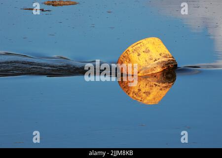 An old abandoned plastic can coming out of water. Stock Photo