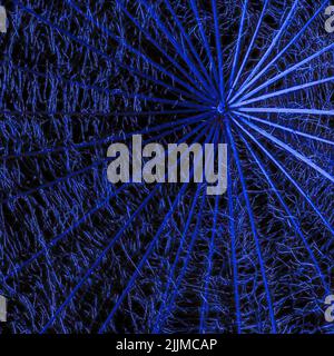 A macro shot of a blue web with light Stock Photo