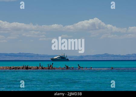 A mesmerizing scene of a Yacht sailing in the Gulf of California in La Pa, Mexico on a sunny day Stock Photo