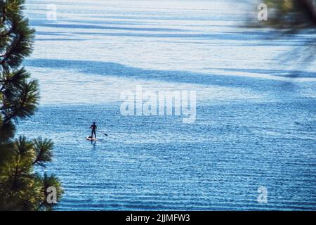 Alone in the blue water of Lake Tahoe, a lone man stands on paddleboard headed away from shore - framed by bokeh evergreen trees Stock Photo