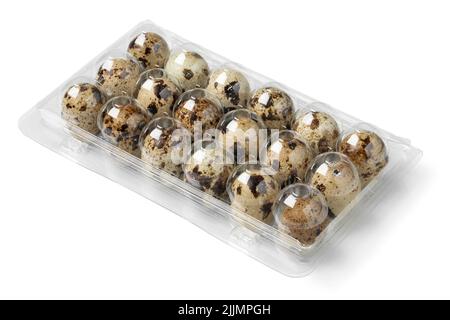 Plastic box with raw Quail eggs close up isolated on white background Stock Photo