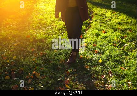 Defocus female legs in capri pants and brogues shoes on green grass with bright leaves. Bright stylish woman in orange coat walking in october park. O Stock Photo