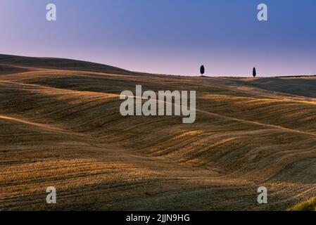 The beautiful view of the fields in Tuscany, Italy. Stock Photo