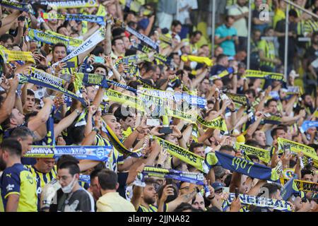 ISTANBUL, TURKEY - JULY 27:  during the Champions League Qualification match between Fenerbahce and Dinamo Kiev at Sukru Saracoglu Stadium on July 27, 2022 in Istanbul, Turkey (Photo by Orange Pictures) Stock Photo