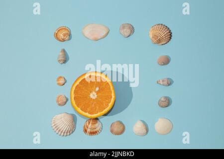 A closeup of a summer composition made of sea shells and oranges on a light blue background Stock Photo