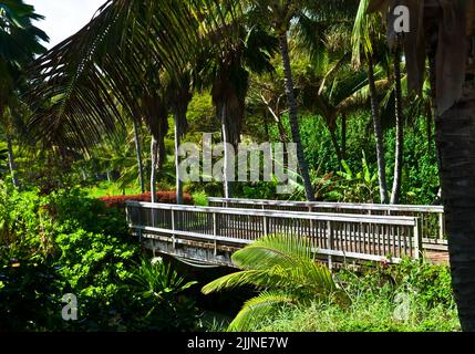 Wooden Bridge Crossing Over Moloa'a Stream, Kauai, Hawaii, USA Stock Photo