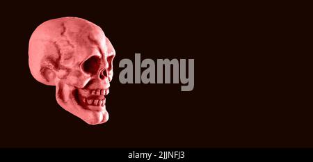 Banner with horrific pink human skull on black background. Halloween party, horror, anatomy study concept. Place for text . High quality photo Stock Photo