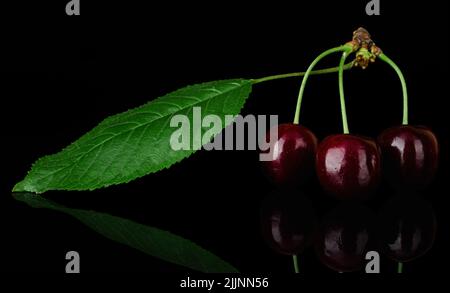 branch of red cherry fruit with leaves on a black background with reflection Stock Photo