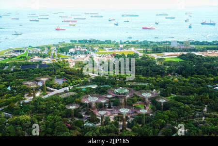 An aerial shot of the lush green Marina Bay Supertree Grove in Singapore with the sea in the distance