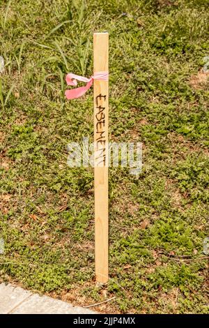 Surveyor stakes hi-res stock photography and images - Alamy