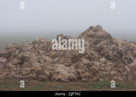 A large heap of manure and dry grass on a field at sunset Stock Photo