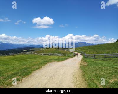 A winding road passing through the green fields in the village with mountains in the background Stock Photo