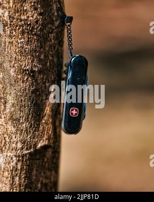 A closeup of a Swiss army knife hanging from a tree Stock Photo