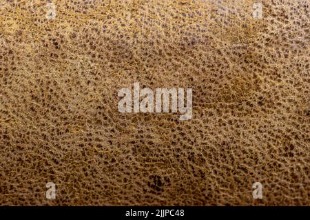 A closeup shot of genuine old leather - perfect for background Stock Photo