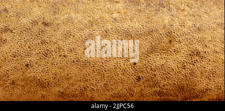 A closeup shot of genuine old leather - perfect for background Stock Photo
