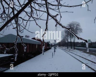 a closeup shot of icicles hanging from tree branches in the train station background in Germany Stock Photo