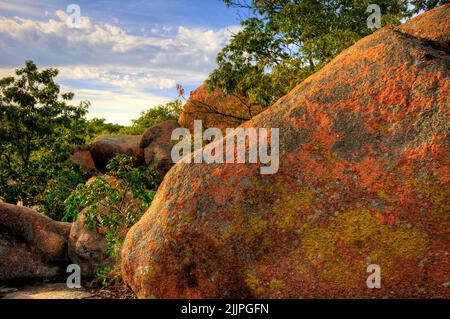 A closeup of Colorful granite rocks at Elephant Rocks State Park in the St. Francois Mountains in Missouri Stock Photo