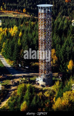 A bird's eye view of an observation tower surrounded with trees Stock Photo
