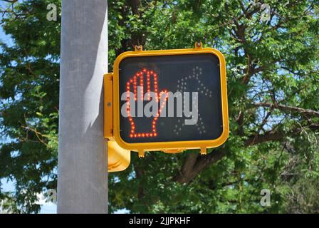 A pedestrian wait light traffic sign with green tree leaves in the background Stock Photo