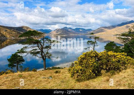 Loch Quoich with the mountains of Knoydart in the distance, Glen Garry, Highland region, Scotland, UK Stock Photo