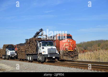 Hoffman Estates, Illinois, USA. Convertible road to rail trucks carry and provide pulling power as part of a tie replacement effort along the tracks. Stock Photo