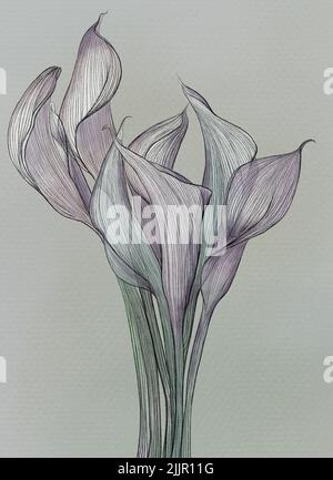 A closeup shot of digital painting of purple Calla in gray background Stock Photo