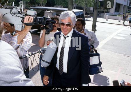 John DeLorean 1984 . Credit: Ralph Dominguez/MediaPunch Stock Photo - Alamy