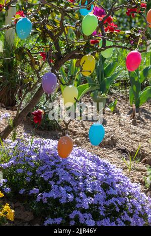 Colorful Easter eggs hanging on a tree branch with green leaven and spring blossom Stock Photo