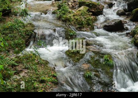A beautiful view of a small river with many stones covered by moss Stock Photo
