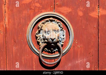 A closeup of a rusty lion door handle on a red old wooden door - vintage Stock Photo