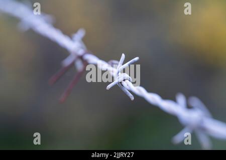 A selective focus of a metal gray barbed wire with a blur background Stock Photo