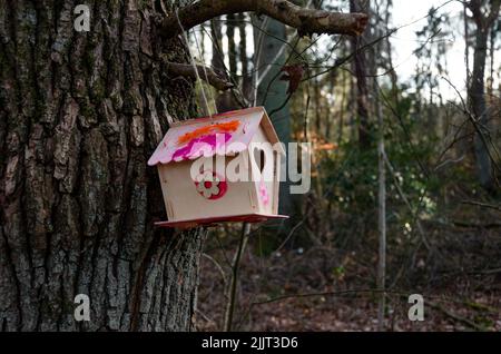 A closeup shot of a white, painted birdhouse with a heart - shaped hole and a flower pattern in forest Stock Photo