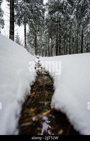 A small path in the snowy fir forest Stock Photo