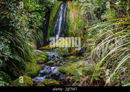 A natural view of Dawson falls Egmont-National park in New Zealand Stock Photo