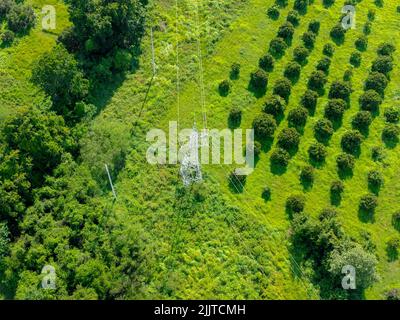 Aerial view by drone of High-voltage poles in the forest. Flight over power transmission lines in green field countryside. Stock Photo