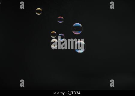 Flying soap bubbles on black background. Abstract soap bubbles with colorful reflections. Soap bubbles in motion background. Stock Photo