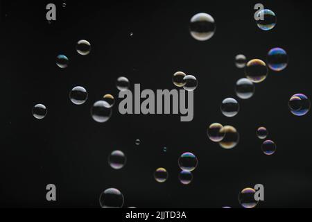 Flying soap bubbles on black background. Abstract soap bubbles with colorful reflections. Soap bubbles in motion background. Stock Photo