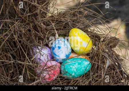A closeup of colorful Easter eggs on grass in a field Stock Photo