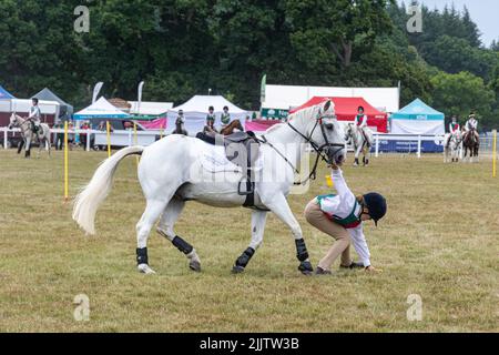 New Forest and Hampshire County Show in July 2022, England, UK. Pony Club mounted games display in the arena. Stock Photo