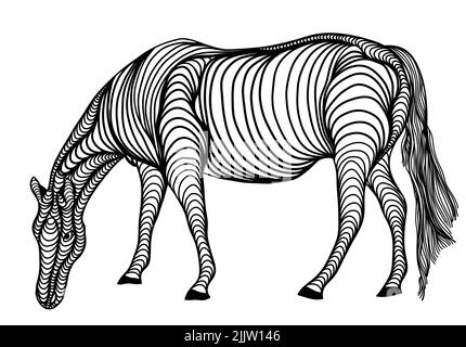 A unique black and white line art digital drawing of a horse for background, logo and other illustration needs Stock Photo