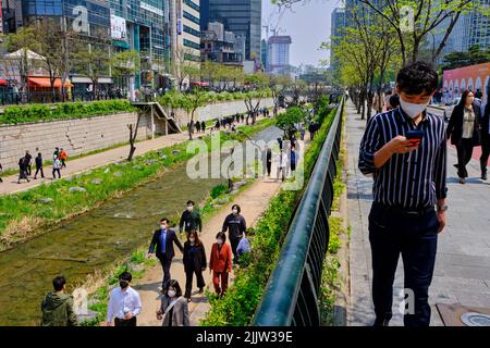 South Korea, Seoul, Cheonggyecheon, 6 kilometer long promenade inaugurated in 2005 which runs along the Cheonggyecheon River Stock Photo